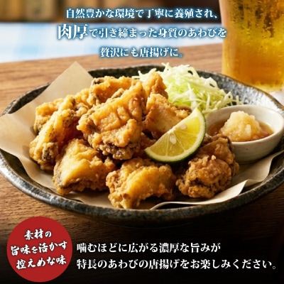 あわびの唐揚げ 500g 下関 山口 《さわ水産:SW》 SW-AW004