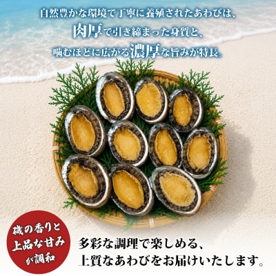 冷凍あわび艶煮 8～14枚 下関 山口 《さわ水産:SW》 SW-AW003