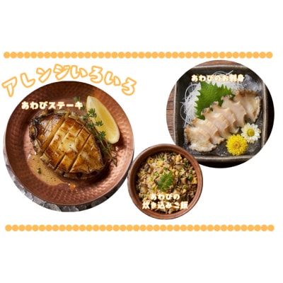 冷凍あわび 8～14枚 下関 山口 《さわ水産:SW》 SW-AW002
