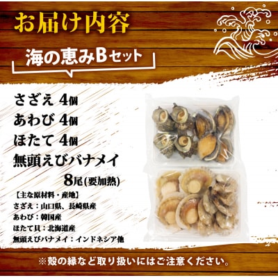 海の恵みBセット 下関 山口 《さわ水産:SW》 SW-UM002B