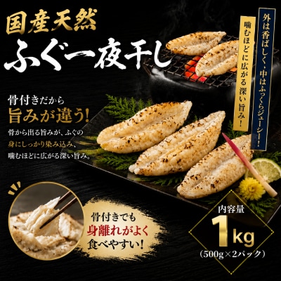 ふぐ 一夜干し 1㎏ ショウサイフグ 干物 フグ 下関 山口 《蟹屋:KNY》 KNY-SF01