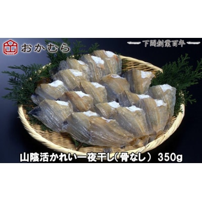 おかむら特製 山陰活かれい一夜干し 骨なし 350g 下関 《おかむら:DN》 DN112