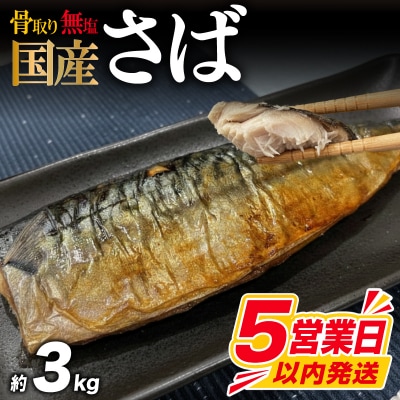 【5営業日以内発送】 訳あり さば 骨取り 国産 約3kg さば MH105