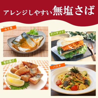 【5営業日以内発送】 訳あり さば 骨取り 国産 約3kg さば MH105