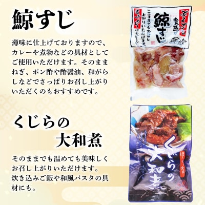 くじらレトルト詰合せ 12個入 【鯨すじ・くじらの大和煮・くじら焼肉・くじらカレー】AY220