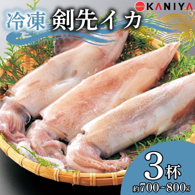 【限定100・寄附額変更中】 剣先イカ 約700~800g 下関 《蟹屋:KNY》KNY-KE01