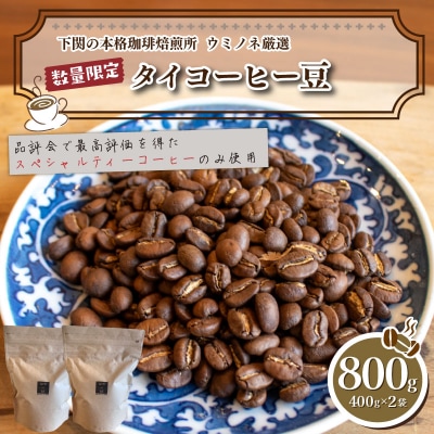【豆】 訳あり コーヒー豆 800g ( 400g × 2袋 ) 数量限定 タイ EW152-A