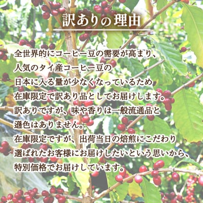 【豆】 訳あり コーヒー豆 800g ( 400g × 2袋 ) 数量限定 タイ EW152-A