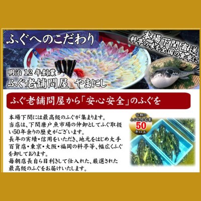 【7営業日以内発送】 ふぐ 鍋 しゃぶしゃぶ セット 2～3人前 冷凍 まふぐ AU311-NT