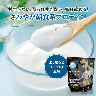 ビーレジェンド WPCプロテイン よう振るとヨーグルト風味 900g×5袋 OB104-B