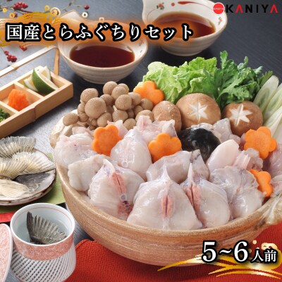 国産 とらふぐちりセット 5~6人前 1kg 冷凍 下関 山口 《蟹屋:KNY》 KNY-F08
