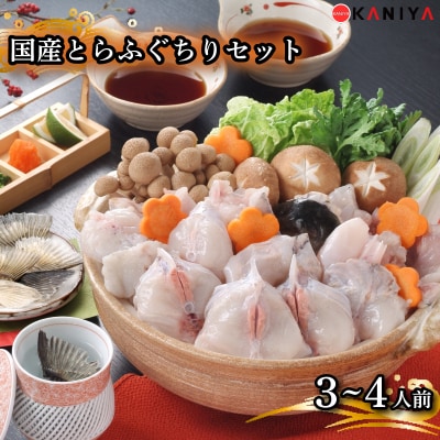 国産 とらふぐちりセット 3～4人前 500g 冷凍 下関 山口 《蟹屋:KNY》 KNY-F09