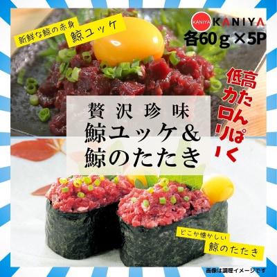 鯨 ユッケ たたき セット 各 60g × 5p 《蟹屋:KNY-DS003》