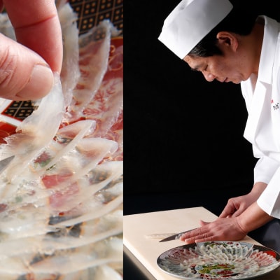 熟成とらふぐ刺し 2〜3人前 冷凍 フグ刺し 円盛 NE007