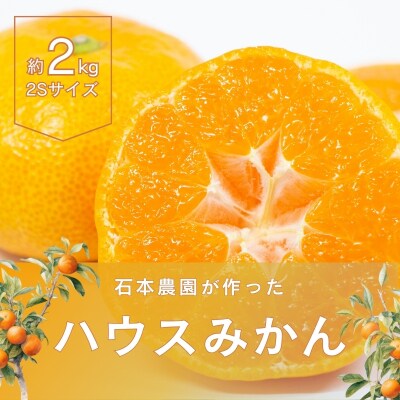 2Sサイズ 20~25玉 石本農園のハウスみかん  約2kg【mis009A】
