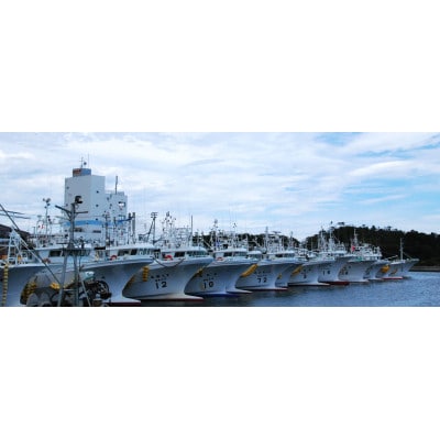 浜の駅松川浦厳選!海産物詰合せCセット