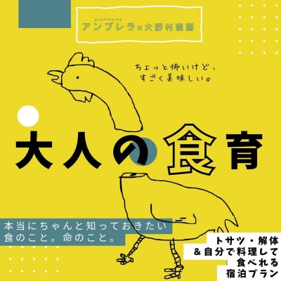 【大人の食育+宿泊】鶏を自分でさばいてお肉にする、命の授業。宿泊先で料理して夕食にそのまま食べられる