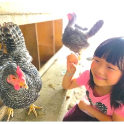 平飼い卵「相馬ミルキーエッグ」18個(9個入×2パック)