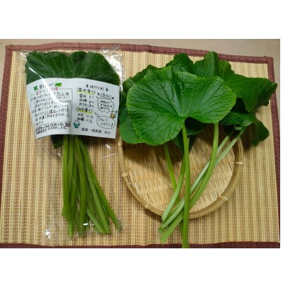 相馬わさびセット(葉 85g×6パック・根茎 約35g×4本)