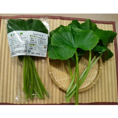 相馬わさび(葉)85g入×1パック