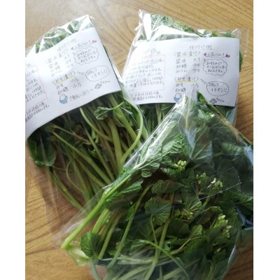 相馬わさび(花)85g入×1パック