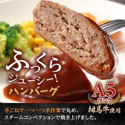 A5ランク相馬牛ハンバーグカレーセット