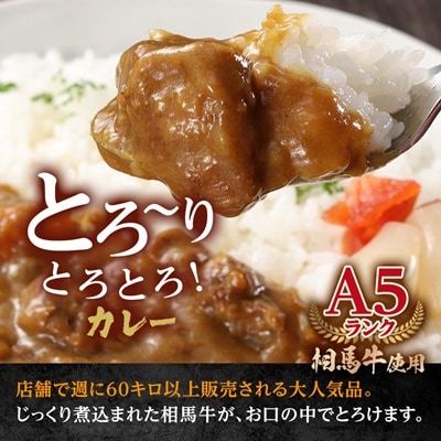 A5ランク相馬牛ハンバーグカレーセット