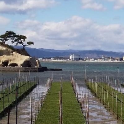 丸永佐藤海産物店　松川浦セット