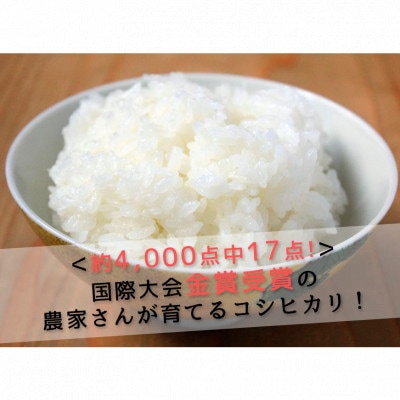 第15回　米・食味分析鑑定コンクール金賞受賞者が生産した米(コシヒカリ精米5kg)