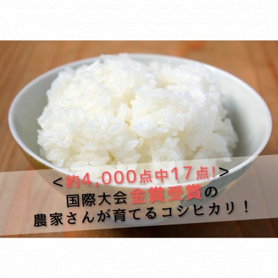 第15回　米・食味分析鑑定コンクール金賞受賞者が生産した米(コシヒカリ精米10kg)