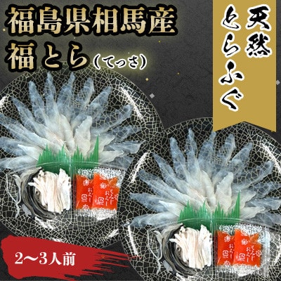 【常磐もの新名物!福とら】天然とらふぐ てっさ 2-3人前 120g (刺身40g/皮20g×2皿)