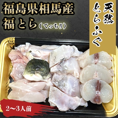 【常磐もの新名物!福とら】 天然とらふぐ てっちり 鍋 2-3人前 約400g ふぐちり