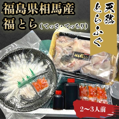 【常磐もの新名物!福とら】 天然とらふぐ てっさ てっちり鍋セット 2-3人前 ふぐ刺し ふぐちり