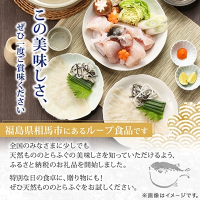 【常磐もの新名物!福とら】 天然とらふぐ てっさ てっちり鍋セット 2-3人前 ふぐ刺し ふぐちり