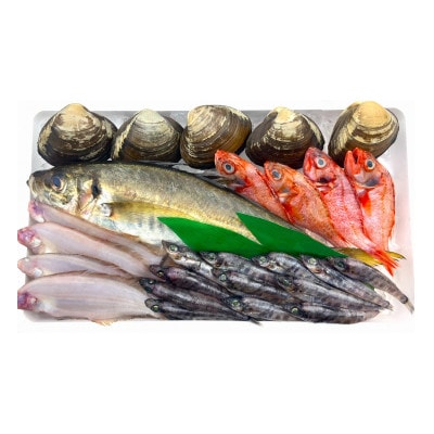 相馬原釜港直送!おまかせ鮮魚セット(3kg)