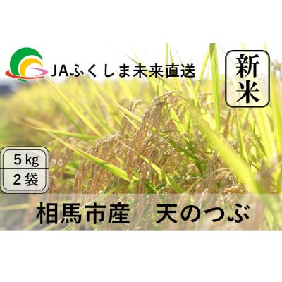 令和7年度産【新米】JAふくしま未来　福島県産『天のつぶ』10kg