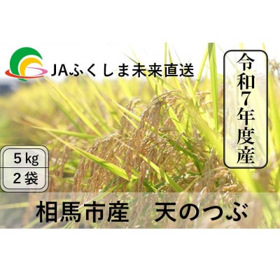 令和7年度産JAふくしま未来　福島県産『天のつぶ』10kg