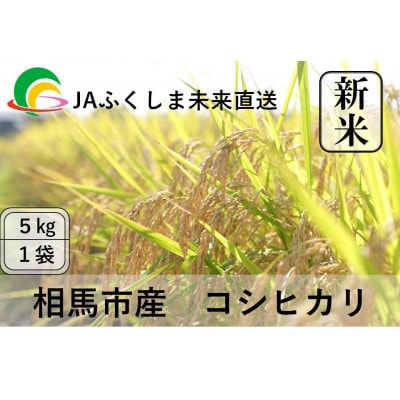 令和7年度産【新米】JAふくしま未来　福島県産　コシヒカリ5kg