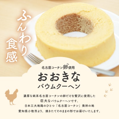 名古屋コーチン卵のおおきなバウムクーヘン [020N08]