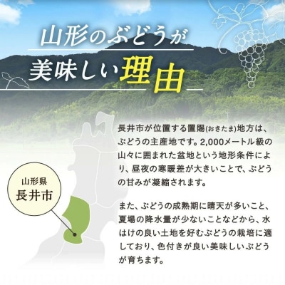【R7年9月～10月発送分先行受付】山形のぶどう(シャインマスカット)約2kg(2～5房)_H063