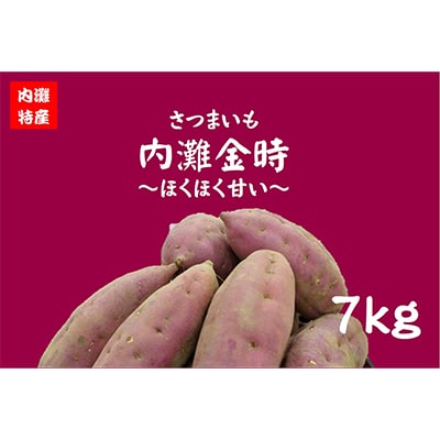 さつまいも(内灘金時)