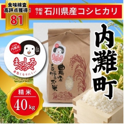 令和7年産 コシヒカリ 精米20kg×2袋　【 まっしろぺっぺ 】