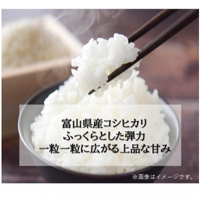 令和8年産　コシヒカリ　5kg精米　【 まっしろぺっぺ 】