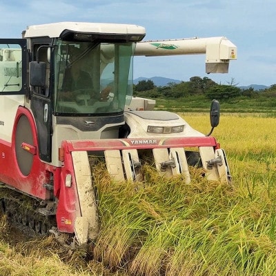 令和8年産コシヒカリ 20kg 精米【 まっしろぺっぺ 】