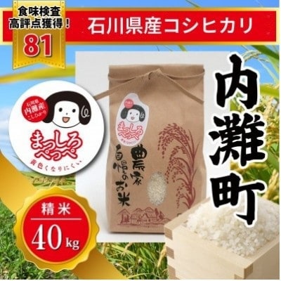 令和8年産コシヒカリ 20kg×2袋 精米【 まっしろぺっぺ 】