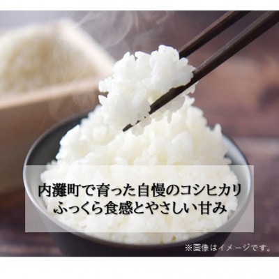 令和8年産コシヒカリ 20kg×2袋 精米【 まっしろぺっぺ 】
