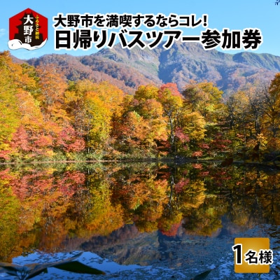大野を満喫するならコレ!日帰りバスツアー参加券(1名様分)