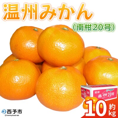 <温州みかん(南柑20号)約10kg> 果物 フルーツ みかん ミカン 蜜柑 オレンジ 柑橘 うんし