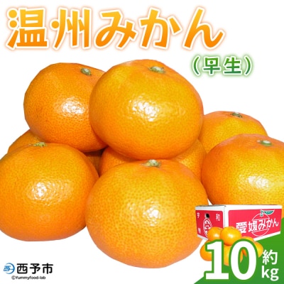 <温州みかん(早生)約10kg> 果物 フルーツ みかん ミカン 蜜柑 オレンジ 柑橘