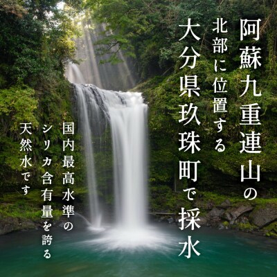 シリカ天然水 40本 × 3ヶ月定期便(シリカちゃん)